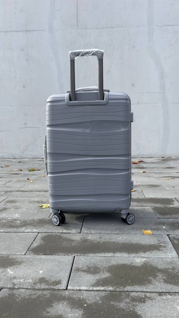 Чемодан Bizon H04 серый, вид сзади с поднятой выдвижной ручкой