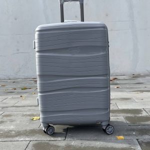 Чемодан Bizon H04 серый, вид спереди с поднятой выдвижной ручкой