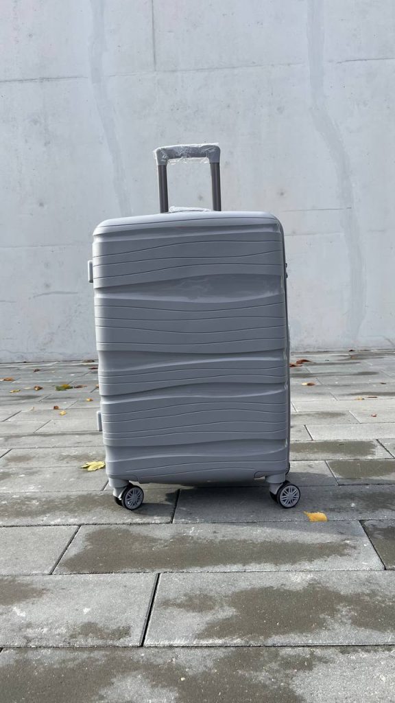 Чемодан Bizon H04 серый, вид спереди с поднятой выдвижной ручкой